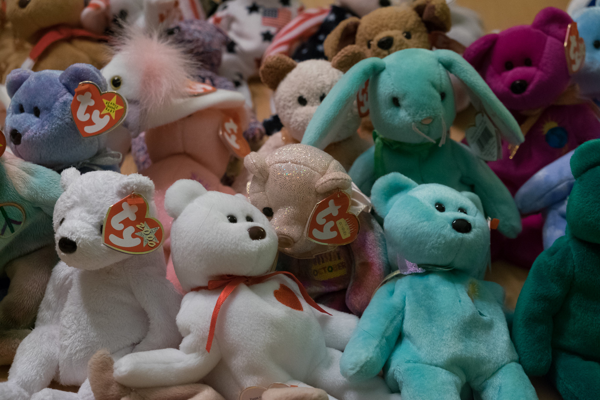 Tabletop, Beanie Babies animals with Ty tags, dense grouping, bright indoor light, editorial travel photo, no people.