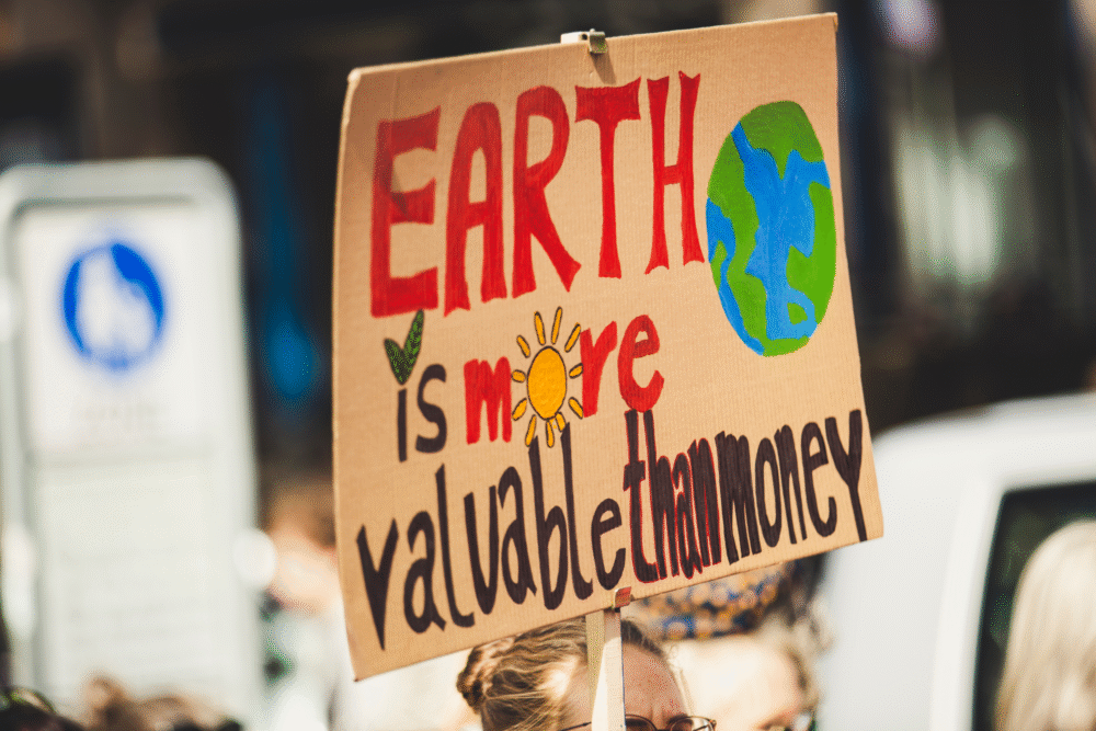 Demonstration, protest sign with EARTH is more valuable than money, bright colors and Earth drawing, daylight, documentary style, crowd.