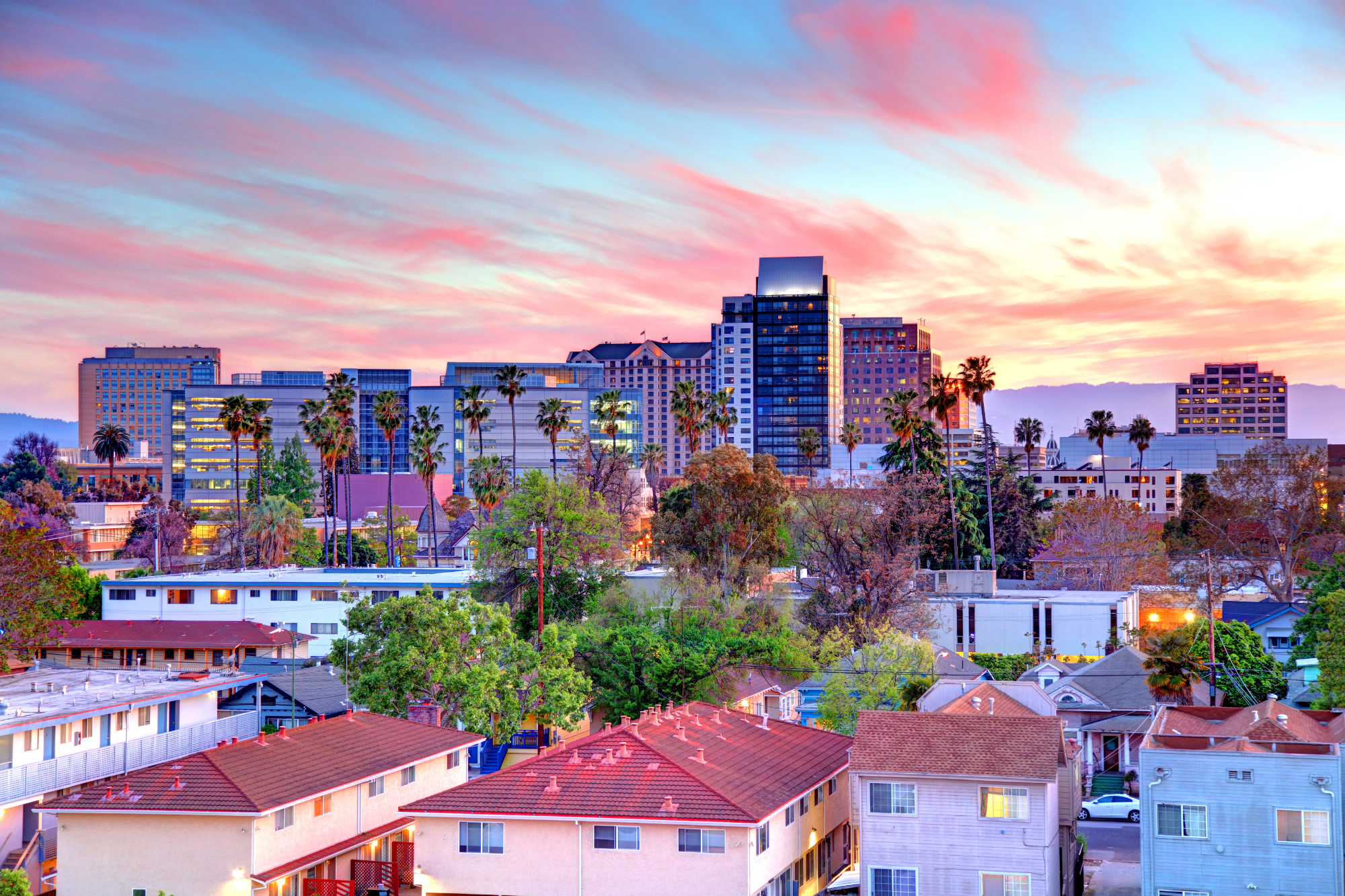 Urban cityscape, palm trees prominent, layered rooftops and towers under a vivid sunset, editorial travel photo, no people.