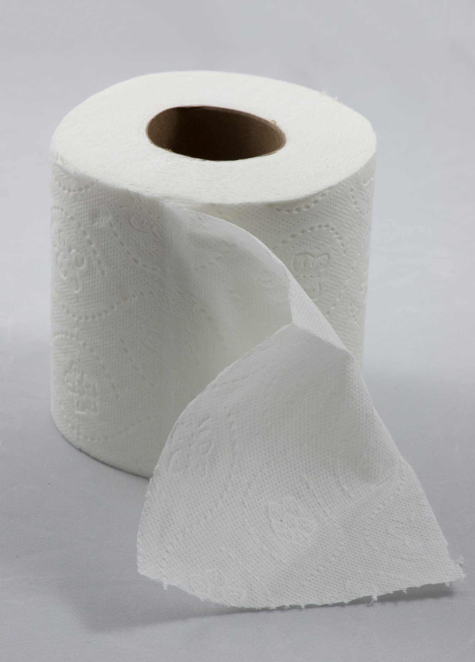 1. Toilet Paper (Image Credits: Wikimedia)