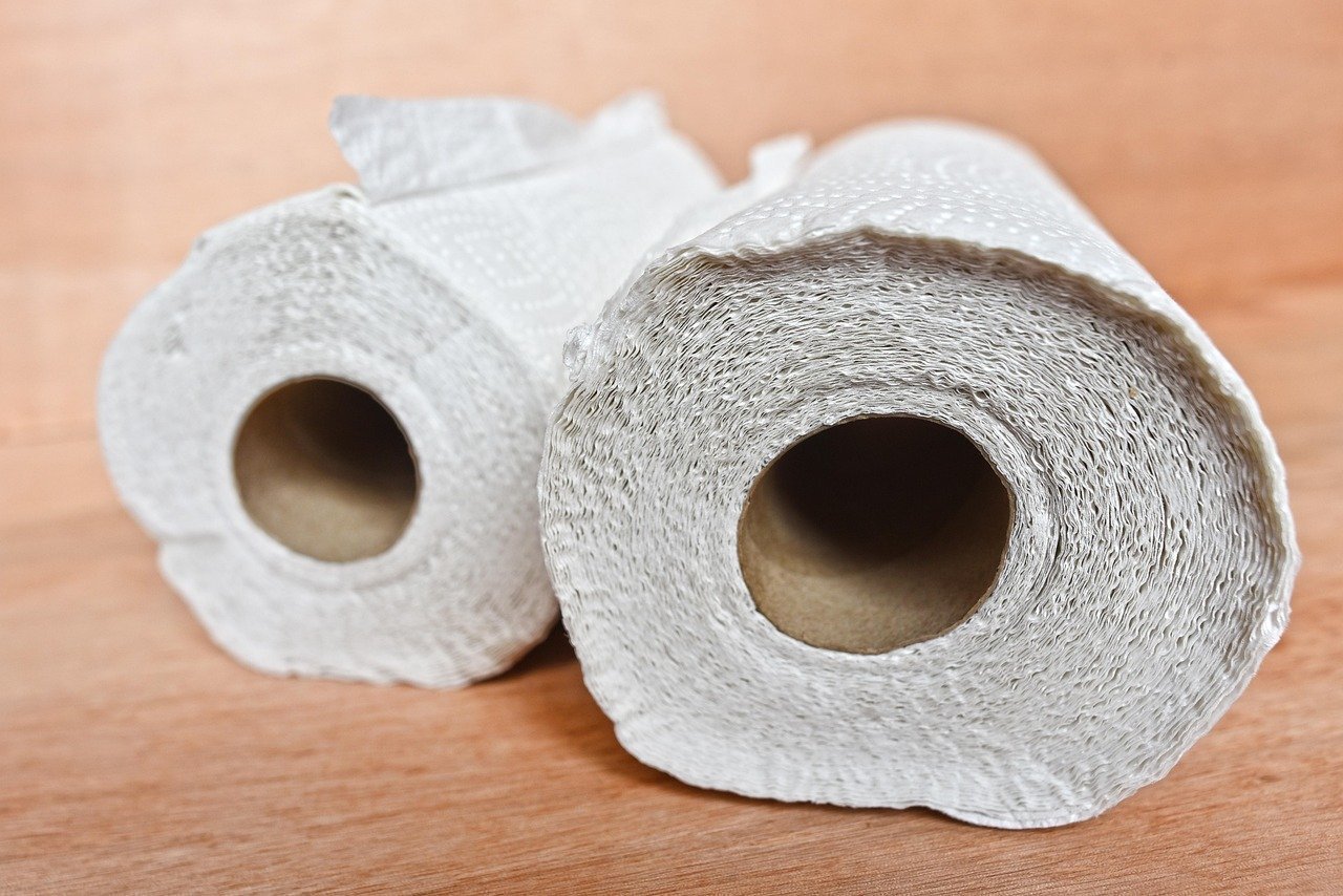 5. Paper Towels (Image Credits: Pixabay)