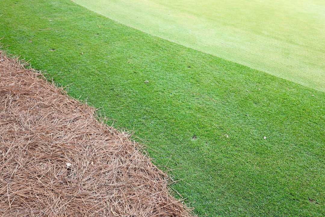 2. Their Yard Gets Professional Attention They Never Ask About (Image Credits: Unsplash)