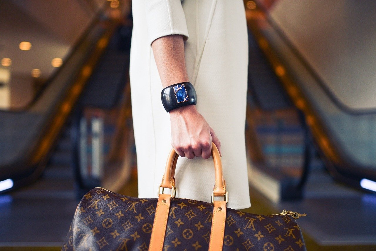 1. Louis Vuitton: The World's Most Recognized Trap (Image Credits: Pixabay)
