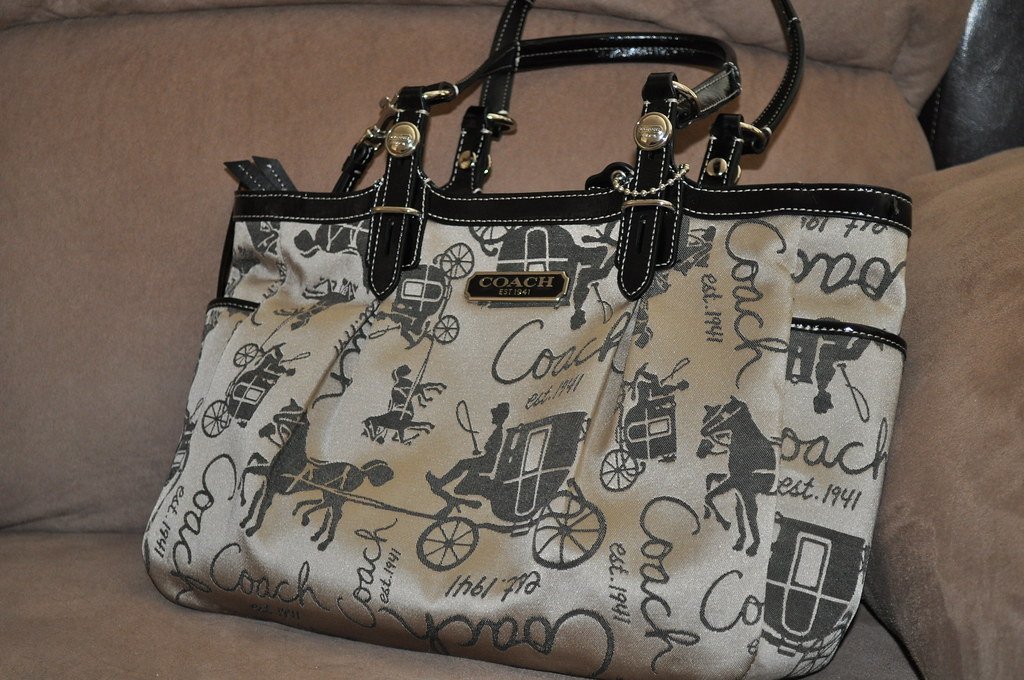 5. Coach: The Brand That Peaked in Accessibility (ShardsOfBlue, Flickr, CC BY-SA 2.0)