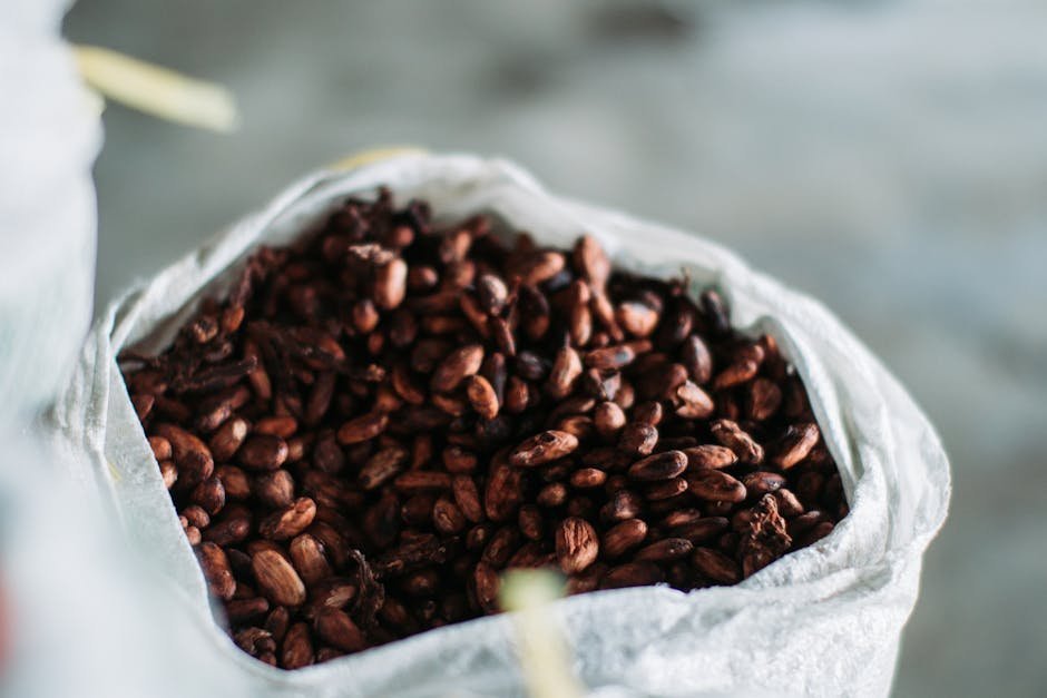 The Cocoa Crisis: How a Crop Shortage Turbocharged Everything (Image Credits: Pexels)