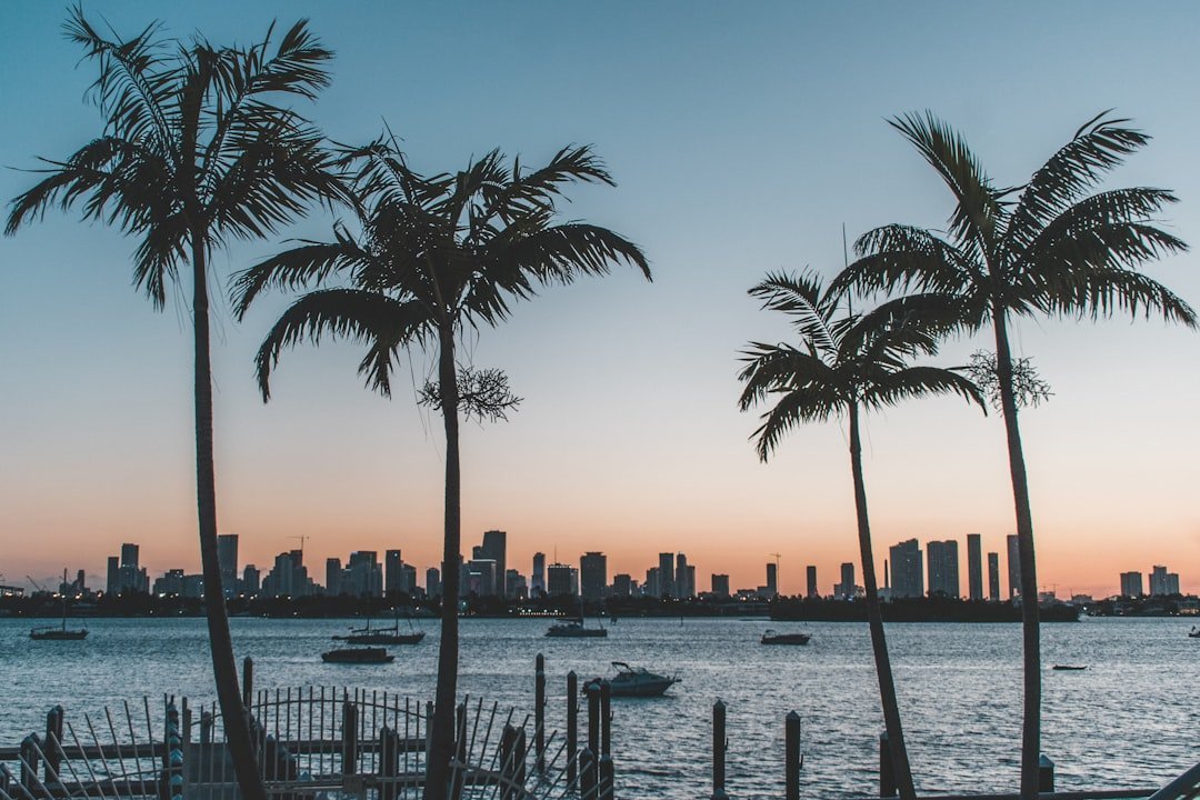 10. Miami, Florida - Sun Belt Shock: Affordable No More (Image Credits: Unsplash)
