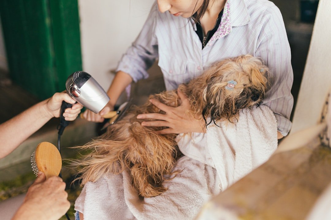 Veterinary Inflation Is Quietly Outpacing Everything Else (Image Credits: Unsplash)