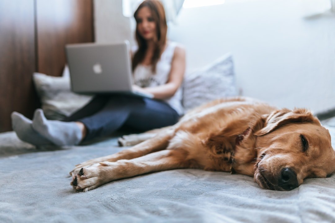 What Pet Insurance Actually Offers - and When It Genuinely Makes Sense (Image Credits: Unsplash)