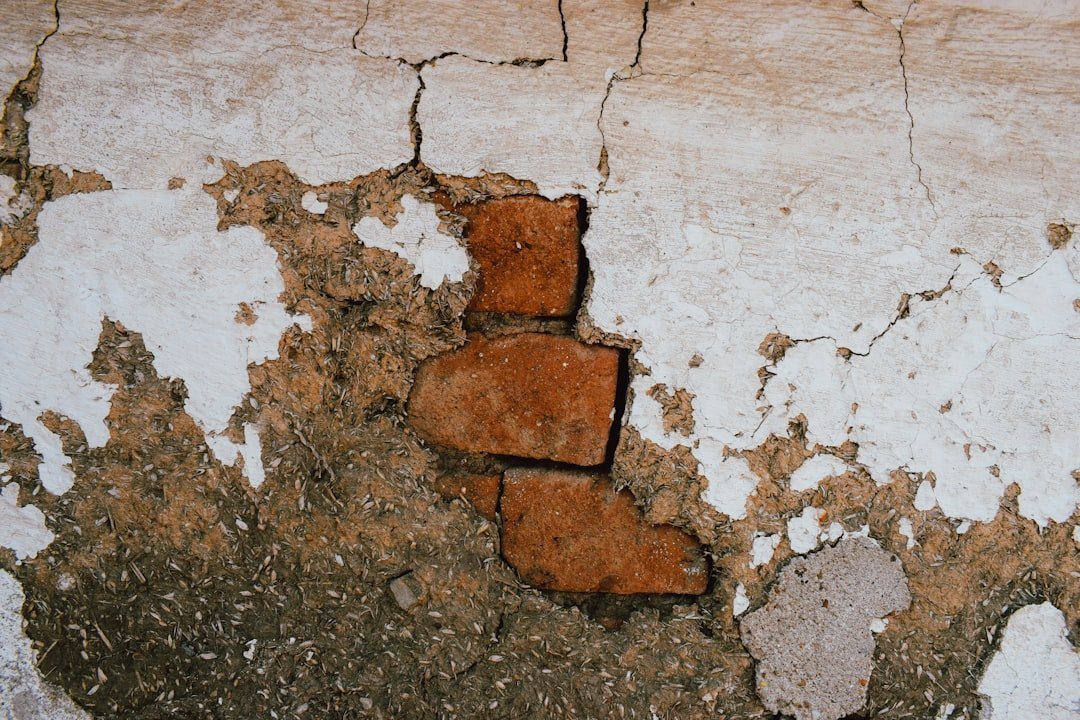 1. Foundation Problems: The Silent Value Killer (Image Credits: Unsplash)