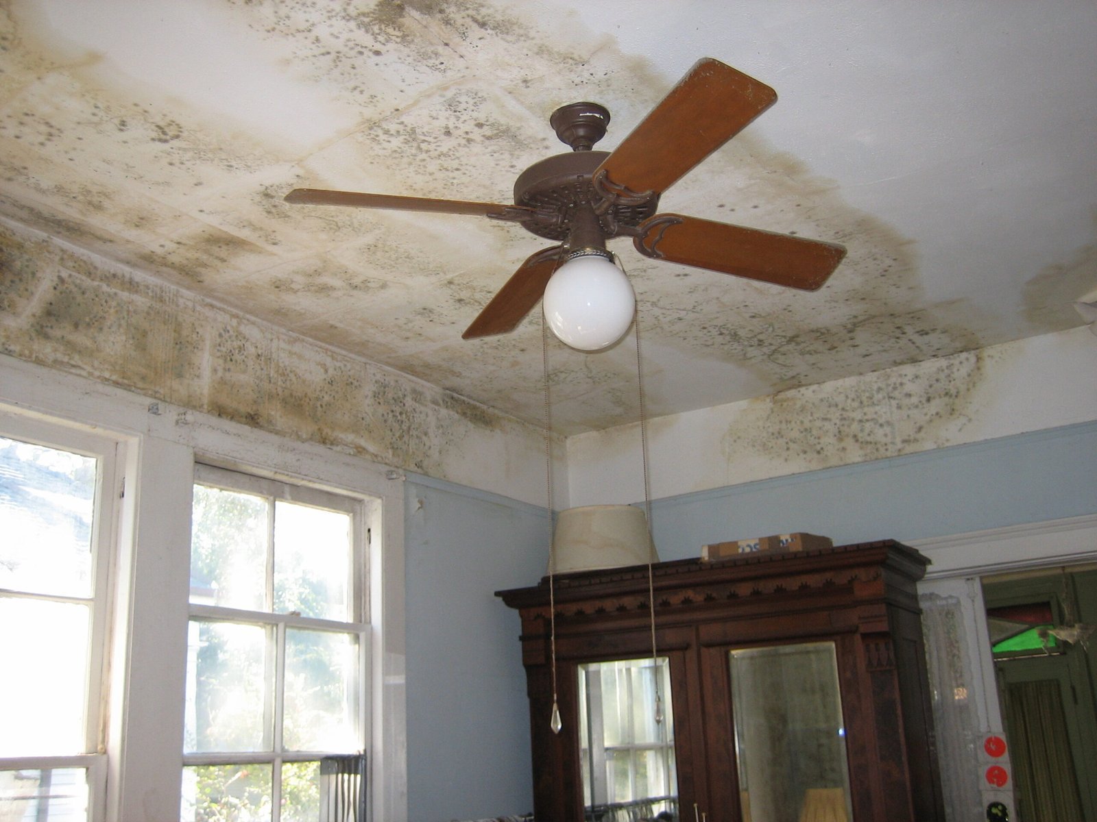 3. Visible Water Damage and Mold (Self-photographed, CC BY 3.0)