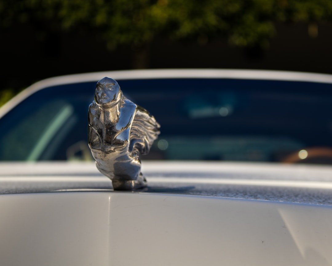 5. They Don't Flash It - Not Even a Little (Image Credits: Unsplash)